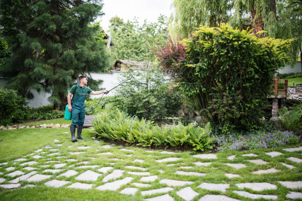 Best Pest Removal Services  in Allouez, WI