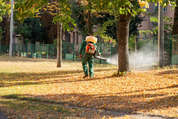 Best Wasp Removal Services  in Allouez, WI